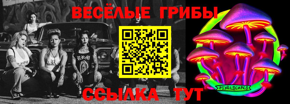 Галлюциногенные грибы Psilocybe Дзержинский
