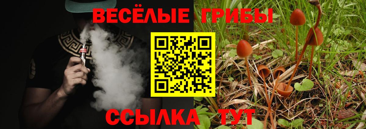 Галлюциногенные грибы ЛСД  Галлюциногенные грибы Magic Shrooms  Вход с VPN  Дзержинский 