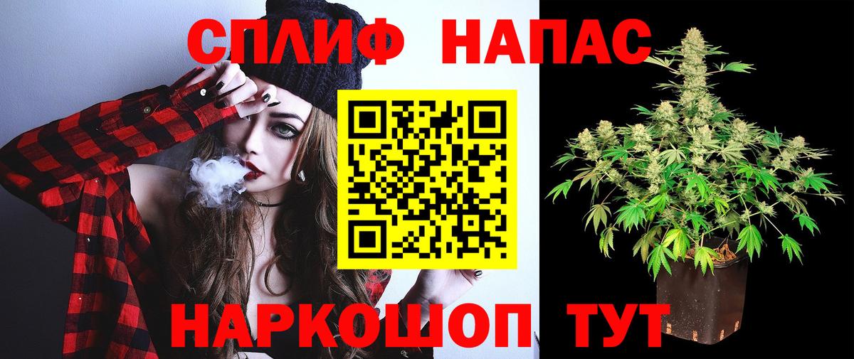 Шишки марихуана план  Вход с VPN  Бошки марихуана Bruce Banner  МАРИХУАНА THC 21%  Канабис план  Дзержинский 